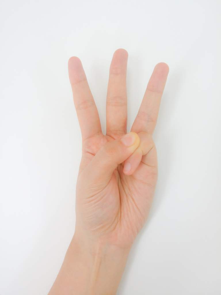 3の指
